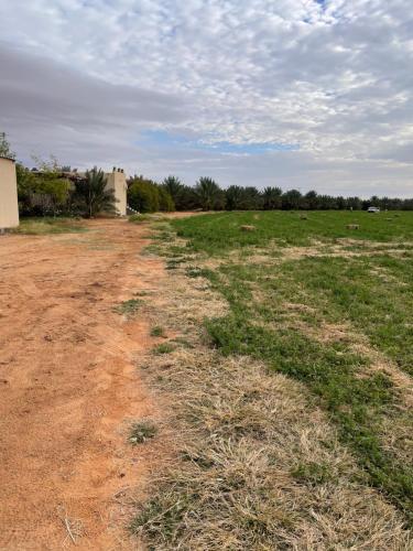 polna droga na polu obok pola trawy w obiekcie شاليه الفاخريه w mieście Madain Saleh