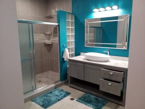 a bathroom with a sink and a shower with a mirror at Coconut Creek Deluxe Suite in Hyde Park