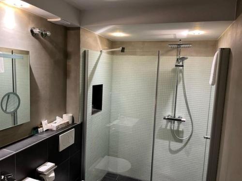 een badkamer met een douche en een glazen douchedeur bij Das Bergschlösschen in Bamberg