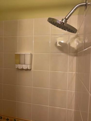 a shower with a shower head on a tiled wall at The Victory Villa in Parrot Hall