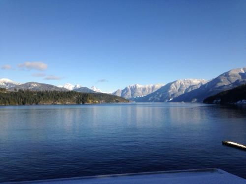 Earls Cove Orca View