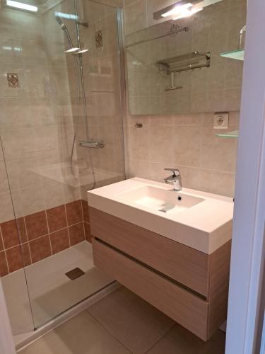 bagno con lavandino e doccia di App KLIF De Panne - top location & sea front !! a De Panne