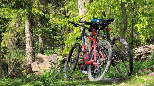 a bike is parked in the woods at Falkenhof Meisdorf in Meisdorf