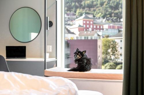 Animal o animals de companyia a Citybox Bergen Danmarksplass