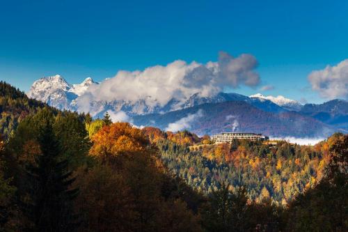 ベルヒテスガーデンにあるケンピンスキー ホテル ベルヒテスガーデンの山の木々が茂る丘の上の建物