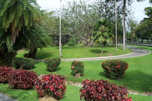 ein Park mit Büschen und Bäumen und eine kurvenreiche Straße in der Unterkunft The Zen Den in Port of Spain