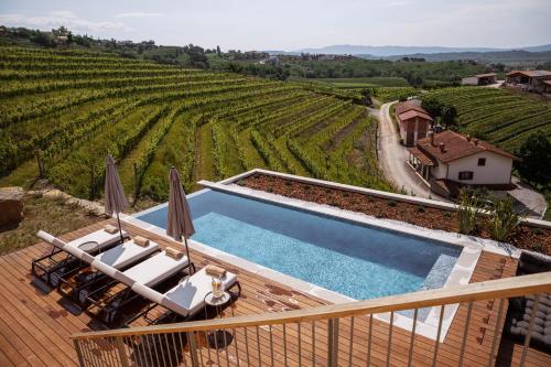 Kolam renang di atau dekat dengan Posestvo Ščurek wine