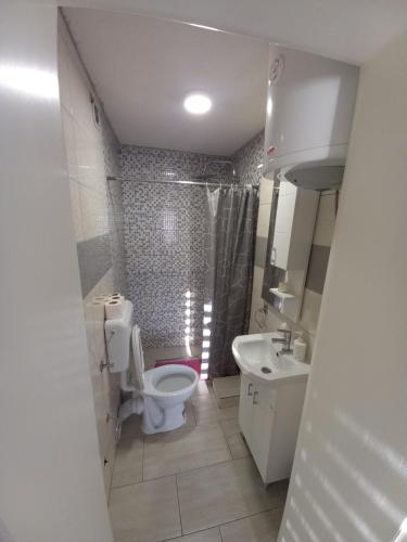 La salle de bains est pourvue de toilettes, d'une douche et d'un lavabo. dans l'établissement SOBE CICKO, à Bosansko Petrovo Selo