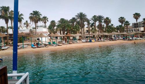 - une vue sur une plage bordée de palmiers et de parasols dans l'établissement Elixir, à Hurghada