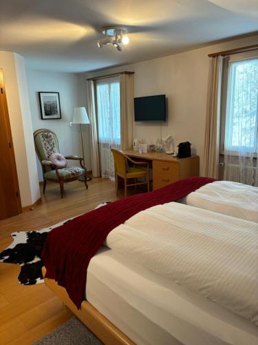 Televisyen dan/atau pusat hiburan di Alpina Boutique Hotel Ringgenberg - Adults only !