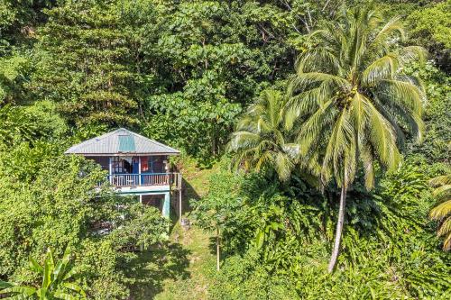 una casa en medio de una jungla con una palmera en 3 Rivers Eco Lodge en Rosalie