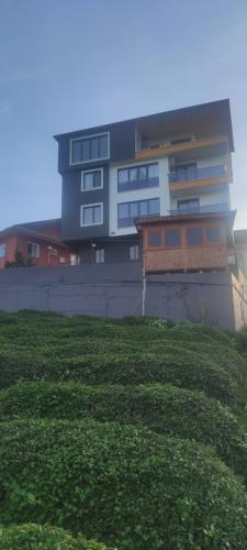 un grande edificio con un prato davanti di Sama house a Rize