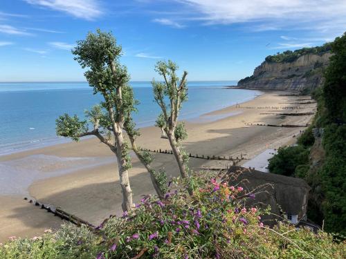 dos árboles en una playa cerca del agua en 1 Apse Castle Cottage - Pet Friendly Cottage in Shanklin en Shanklin