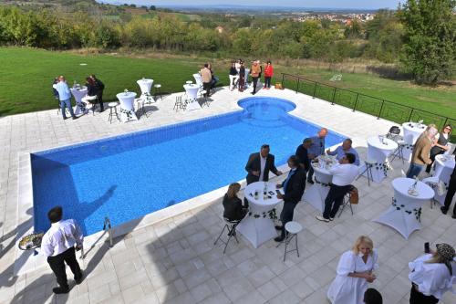 grupa ludzi stojących obok basenu w obiekcie Villa Alegria - Serbia, Topola w mieście Topola