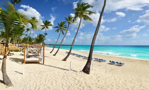 una playa con sillas, palmeras y el océano en Catalonia Royal La Romana Adults Only - All Inclusive en Bayahibe