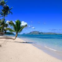 Coconut Beach Resort, hotel v mestu Tavewa