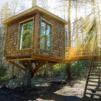 Tiigrisilma Treehouse: Kohila şehrinde bir otel