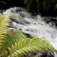 Frankie & Hugh's, hotel a Ohakune