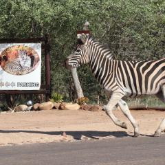 African Rock Lodge