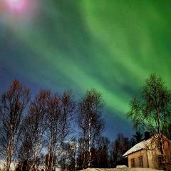 Cabin magic on Senja, atmosphere like a fairytale