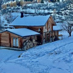 Chalet luxueux avec sauna