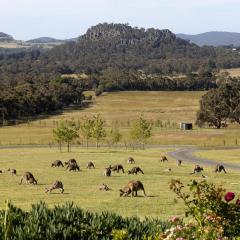 Hanging Rock Views