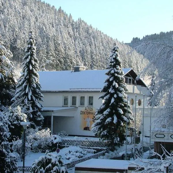 Altes Doktorhaus - Hotel Garni, hotel a Willingen