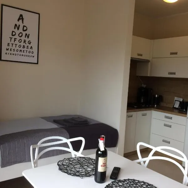 Apartament Fibra Latte, hotell sihtkohas Rybnik