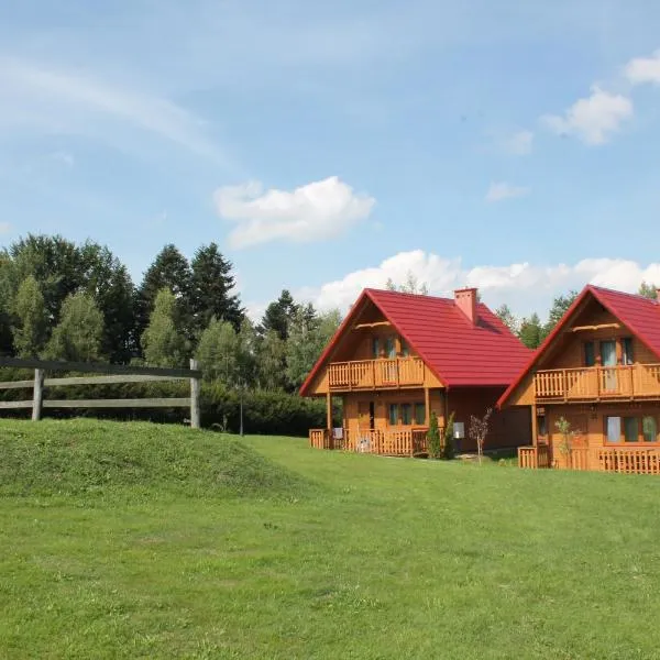 Całoroczne Domki Nad Zatoką, hotel en Polańczyk