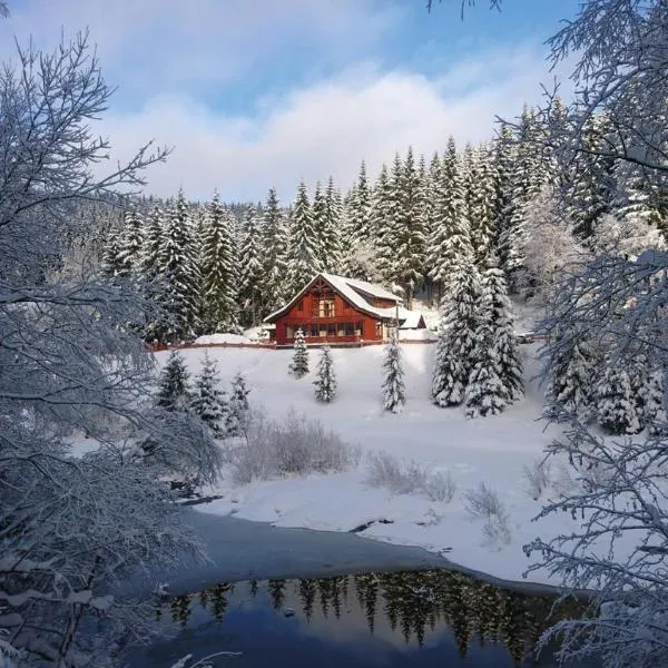 Jezírko lesní restaurant & penzion, hotel u gradu Boži Dar