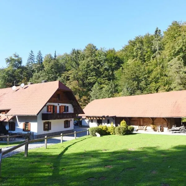 Domačija Šeruga, hotel v destinácii Trebnje