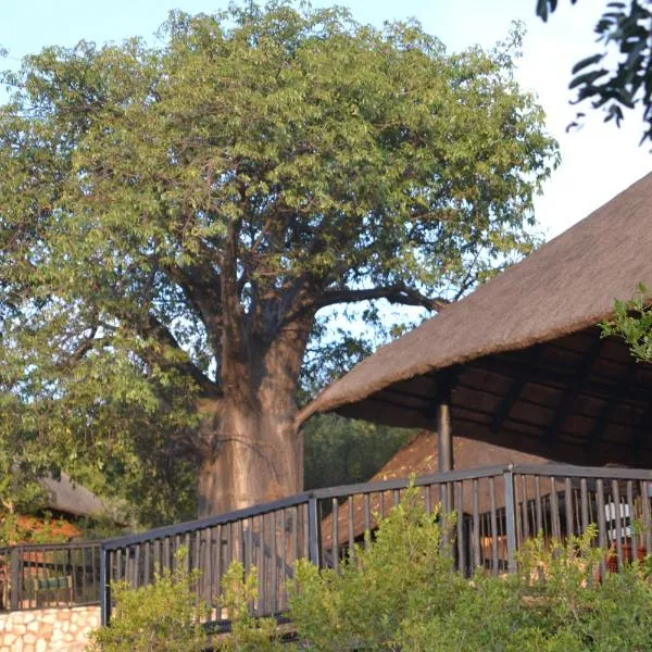 Adansonia Eco Lodge, hotel u gradu 'Musina'