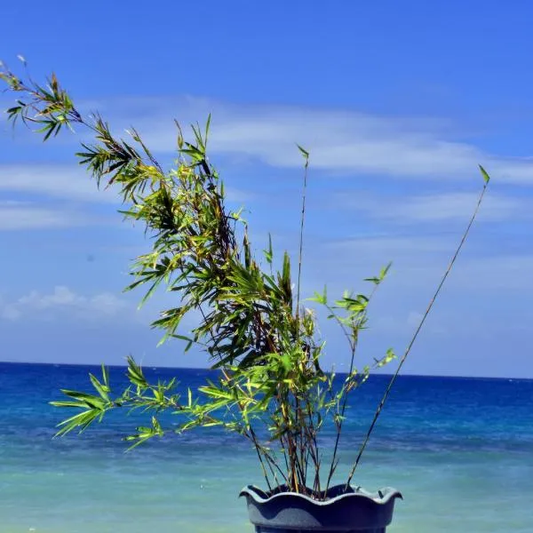 MLK Bamboo Beachhouse, hotel in Alegria