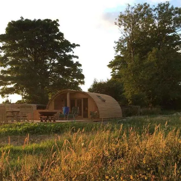 Brynllwyd Glamping, хотел в Абъристуит