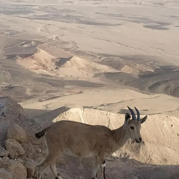 Desert Peace, hotel em Mitzpe Ramon