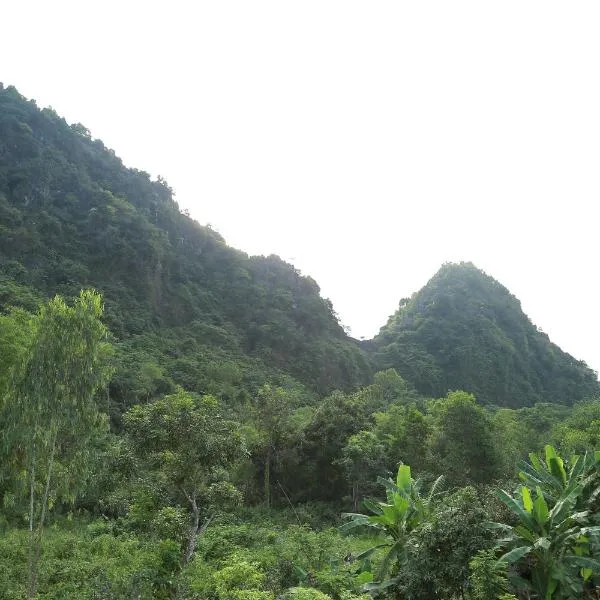 Tam's Homestay, hótel í Phong Nha