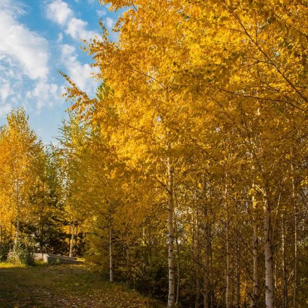 Alpen Ville, hotelli kohteessa Tastybulak