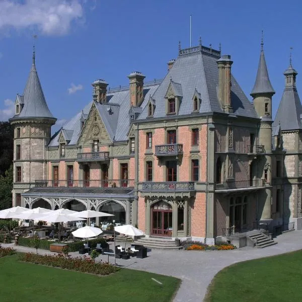 Schloss Schadau - Swiss Historic Hotel, hotel v destinácii Niederstocken