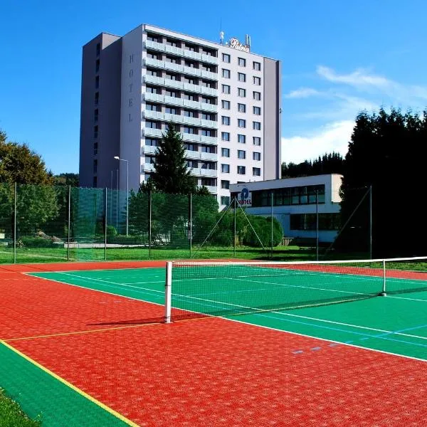 PATRIA HOTEL, хотел в Malé Svatoňovice