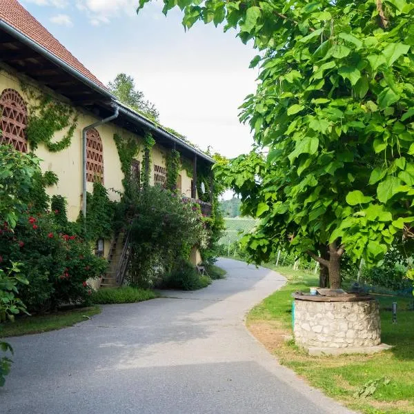 Turistična kmetija Vrezner Apartment, hotel v Zgornji Kungoti