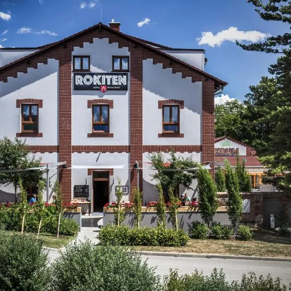 Hotel Rokiten, hotel en Němčice