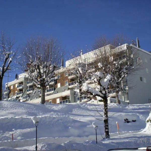 Résidences du Chamossaire, hotel em Leysin