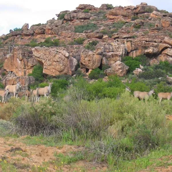 Traveller's Rest, hotell sihtkohas Clanwilliam