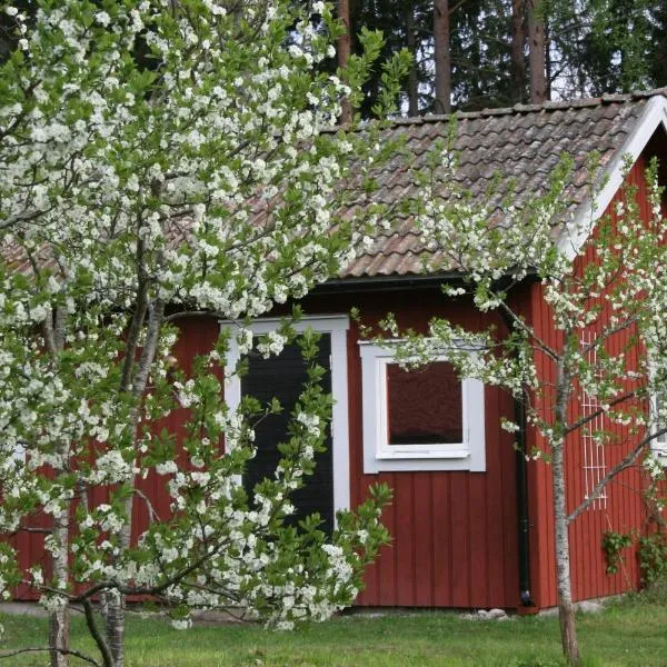 Ahornfarm Håkannäs, hotel di Backerud