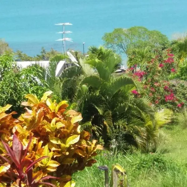 B&B Plage Des Raisiniers, hotel en La Trinité