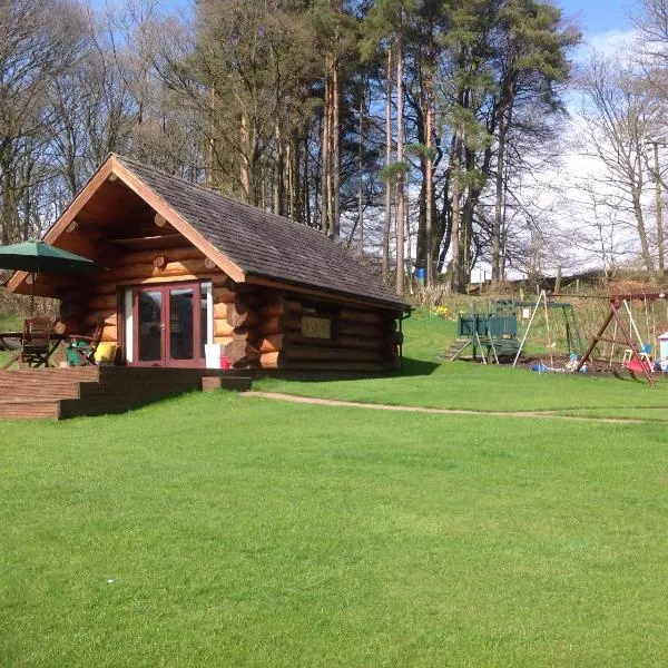 lyne view, log cabin, hotel en Carlisle