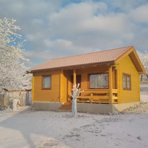 Country Garden - Országkert, hotel v destinaci Păuleni-Ciuc