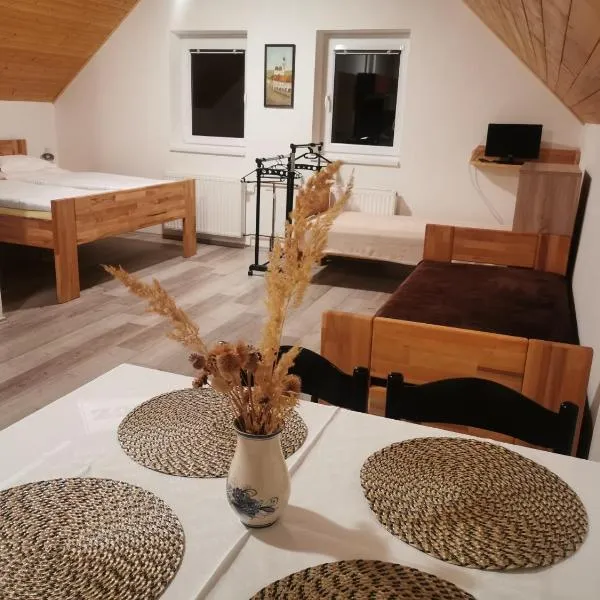 Apartmán U Brabců: Prachatice şehrinde bir otel