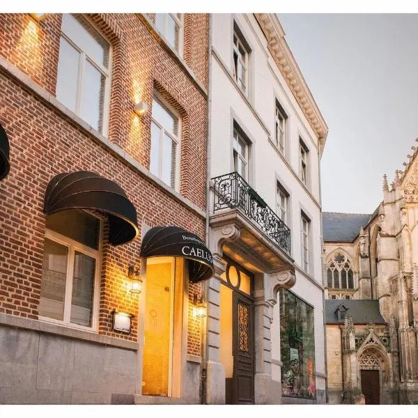 Boutique Hotel Caelus VII, hotel di Tongeren