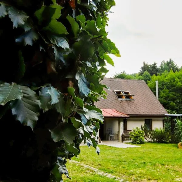 Chaloupka Žďárky, hotel en Teplice nad Metují